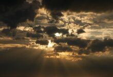 Cloud Insurance Software