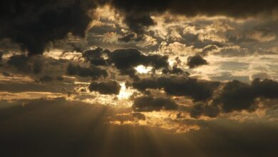 Cloud Insurance Software