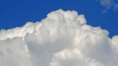 Cloud Native Insurance